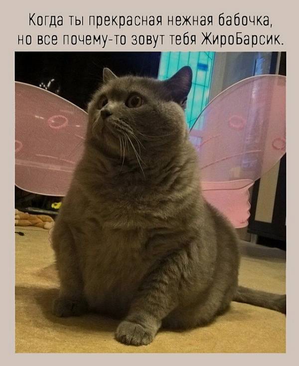 http://upforme.ru/uploads/0004/02/e8/1734/t35032.jpg