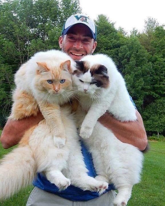 http://upforme.ru/uploads/0004/02/e8/1734/t35613.jpg