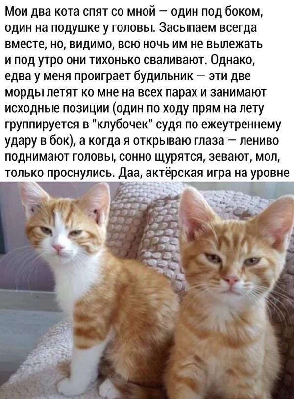 http://upforme.ru/uploads/0004/02/e8/1734/t360276.jpg