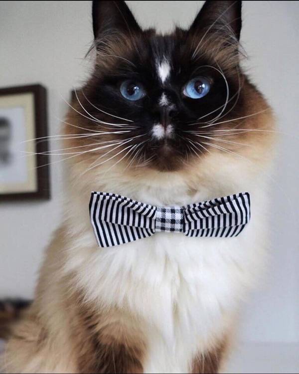 http://upforme.ru/uploads/0004/02/e8/1734/t372670.jpg