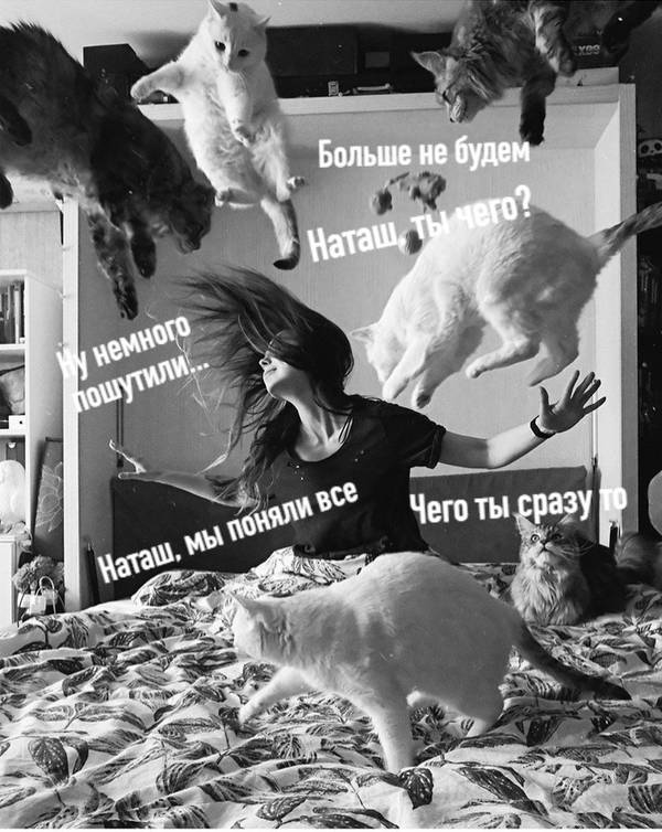 http://upforme.ru/uploads/0004/02/e8/1734/t373364.jpg