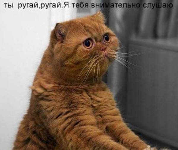 http://upforme.ru/uploads/0004/02/e8/1734/t378379.jpg