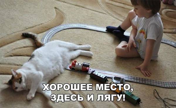 http://upforme.ru/uploads/0004/02/e8/1734/t383675.jpg