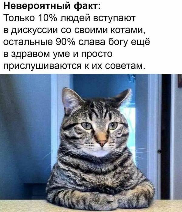 http://upforme.ru/uploads/0004/02/e8/1734/t385789.jpg