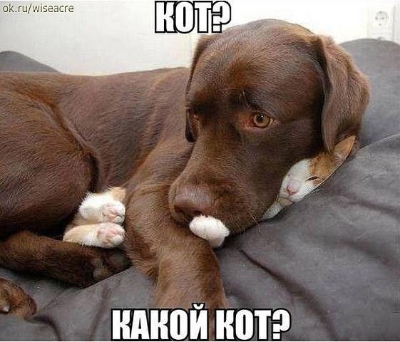 http://upforme.ru/uploads/0004/02/e8/1734/t38657.jpg