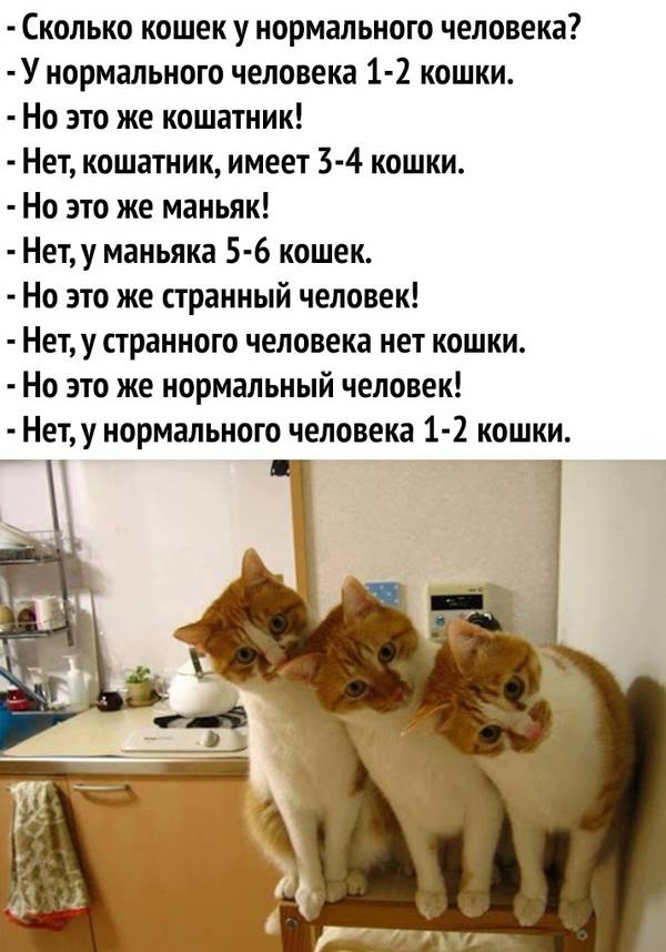 http://upforme.ru/uploads/0004/02/e8/1734/t39246.jpg
