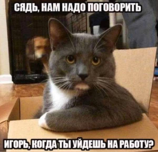 http://upforme.ru/uploads/0004/02/e8/1734/t39285.jpg