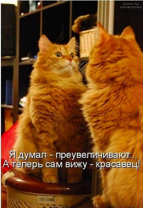 http://upforme.ru/uploads/0004/02/e8/1734/t39643.jpg