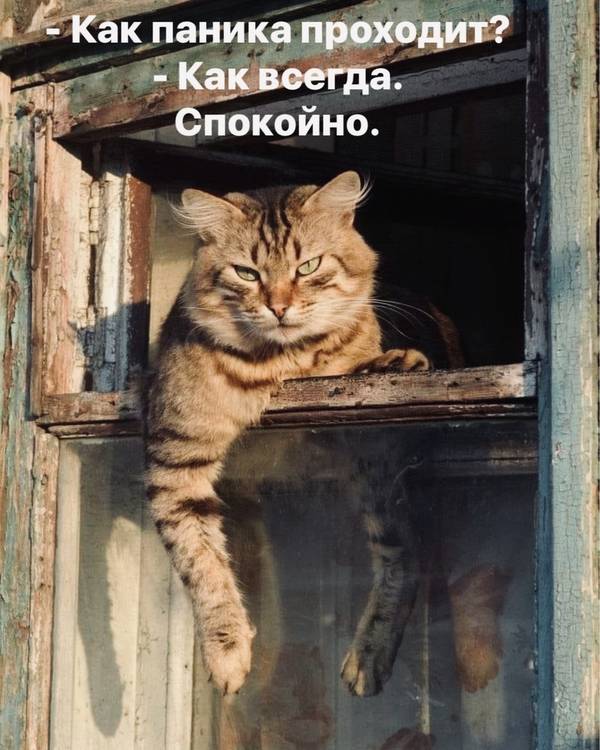 http://upforme.ru/uploads/0004/02/e8/1734/t40053.jpg