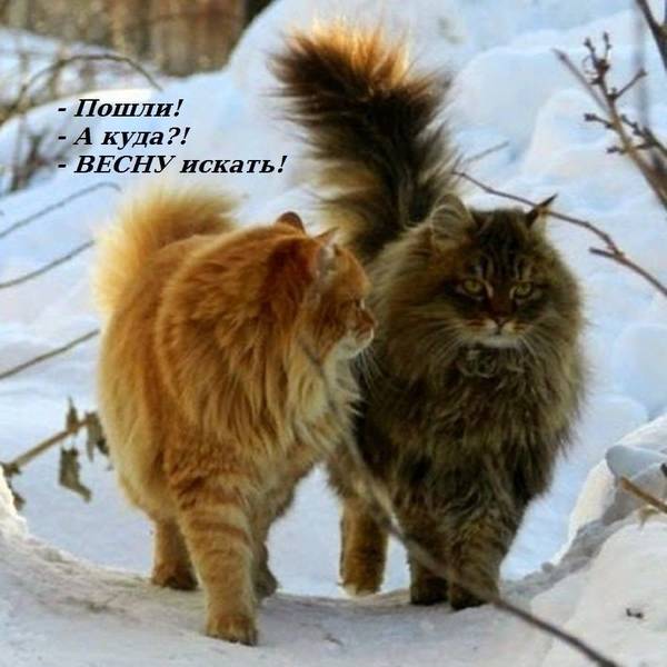 http://upforme.ru/uploads/0004/02/e8/1734/t40299.jpg