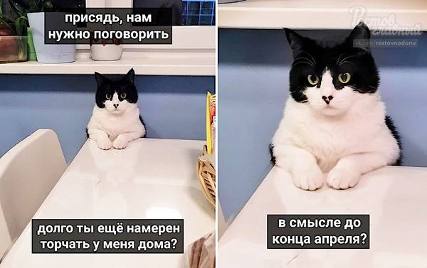 http://upforme.ru/uploads/0004/02/e8/1734/t40312.jpg