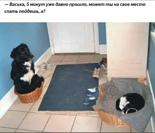 http://upforme.ru/uploads/0004/02/e8/1734/t40327.jpg
