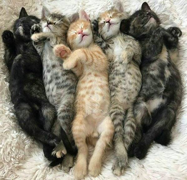 http://upforme.ru/uploads/0004/02/e8/1734/t40670.jpg