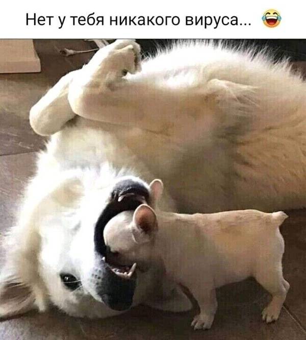 http://upforme.ru/uploads/0004/02/e8/1734/t407295.jpg