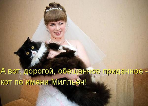 http://upforme.ru/uploads/0004/02/e8/1734/t408432.jpg