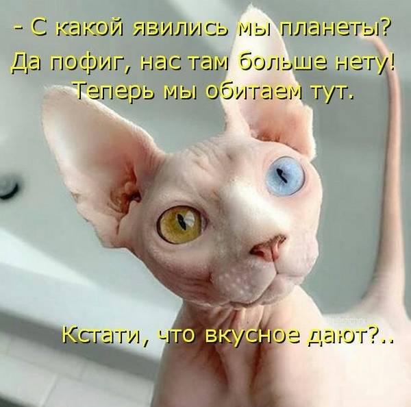 http://upforme.ru/uploads/0004/02/e8/1734/t412742.jpg