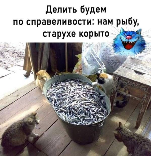 http://upforme.ru/uploads/0004/02/e8/1734/t415419.jpg