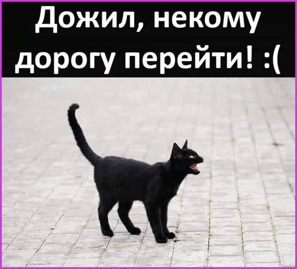 http://upforme.ru/uploads/0004/02/e8/1734/t419367.jpg