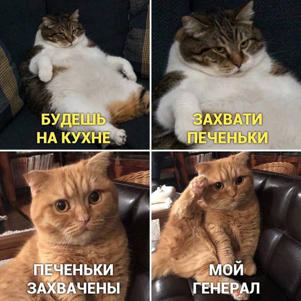 http://upforme.ru/uploads/0004/02/e8/1734/t41953.jpg