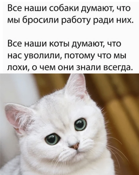 http://upforme.ru/uploads/0004/02/e8/1734/t430502.jpg