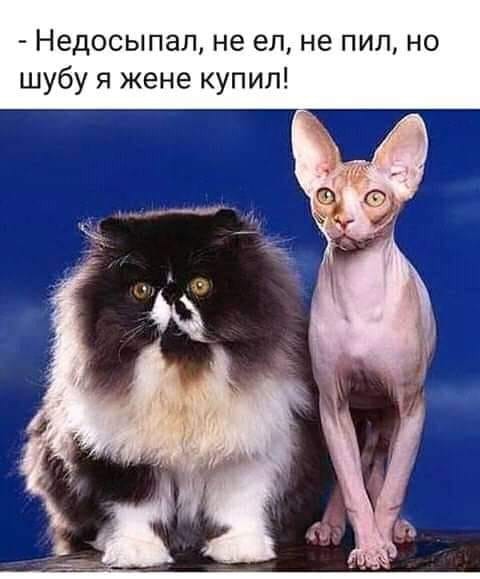 http://upforme.ru/uploads/0004/02/e8/1734/t43225.jpg