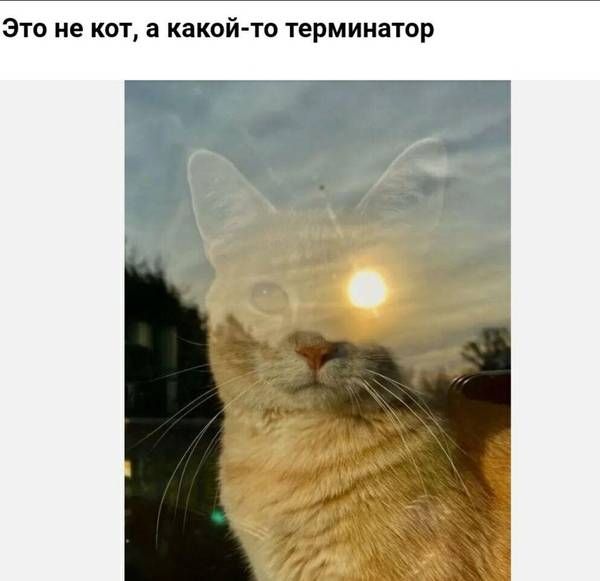 http://upforme.ru/uploads/0004/02/e8/1734/t44716.jpg