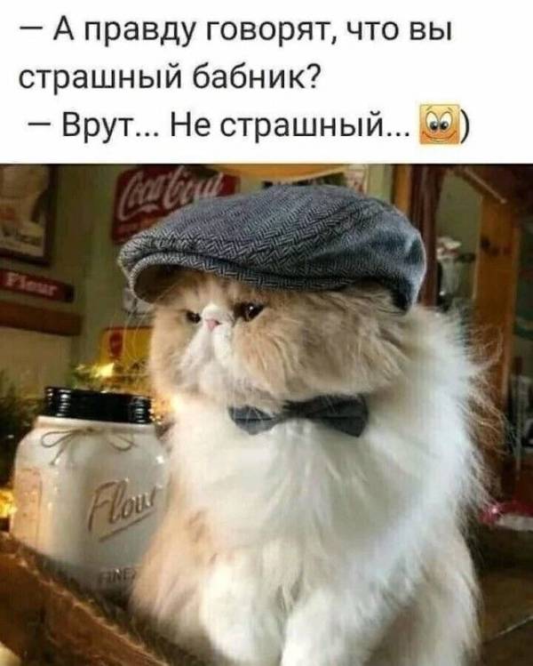 http://upforme.ru/uploads/0004/02/e8/1734/t466255.jpg