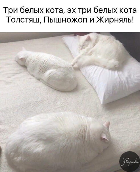 http://upforme.ru/uploads/0004/02/e8/1734/t469101.jpg
