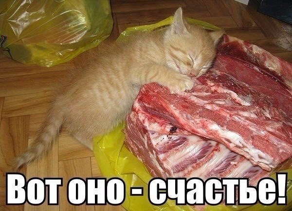 http://upforme.ru/uploads/0004/02/e8/1734/t47034.jpg