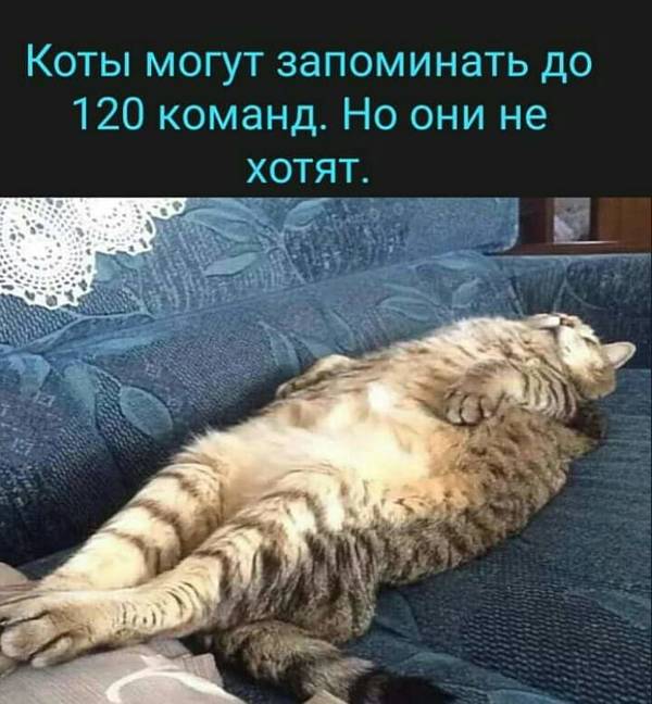 http://upforme.ru/uploads/0004/02/e8/1734/t472668.jpg