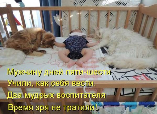 http://upforme.ru/uploads/0004/02/e8/1734/t47514.jpg