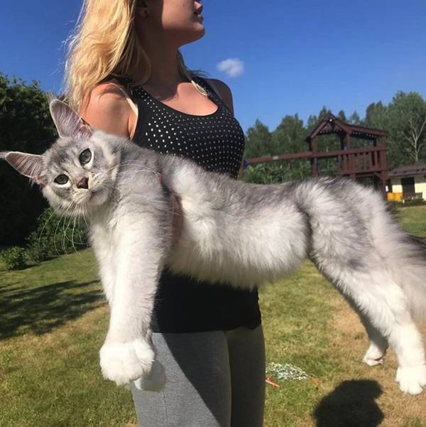 http://upforme.ru/uploads/0004/02/e8/1734/t47723.jpg