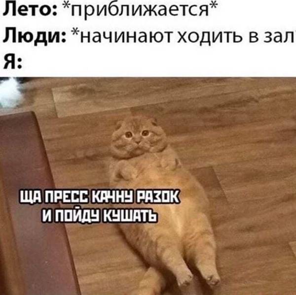 http://upforme.ru/uploads/0004/02/e8/1734/t47990.jpg