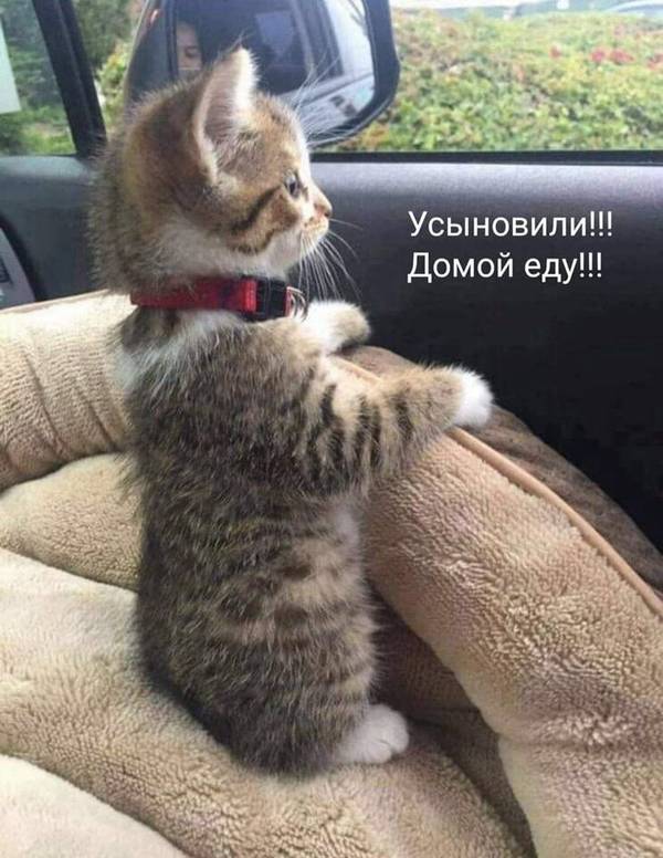 http://upforme.ru/uploads/0004/02/e8/1734/t48910.jpg