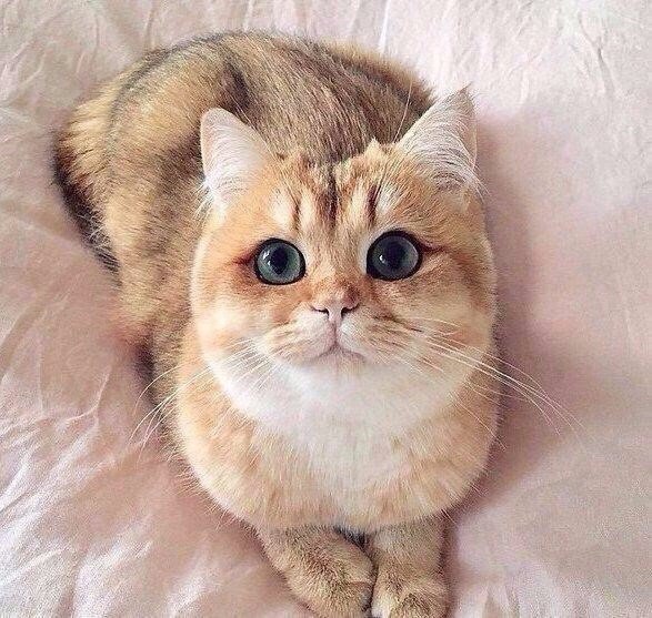 http://upforme.ru/uploads/0004/02/e8/1734/t48933.jpg