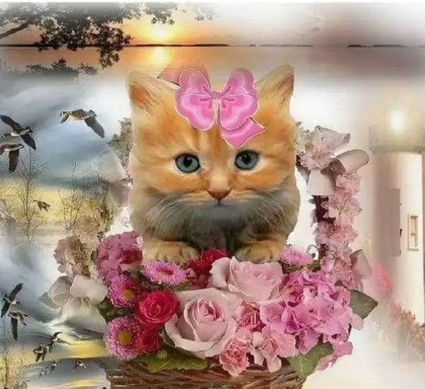 http://upforme.ru/uploads/0004/02/e8/1734/t48955.jpg