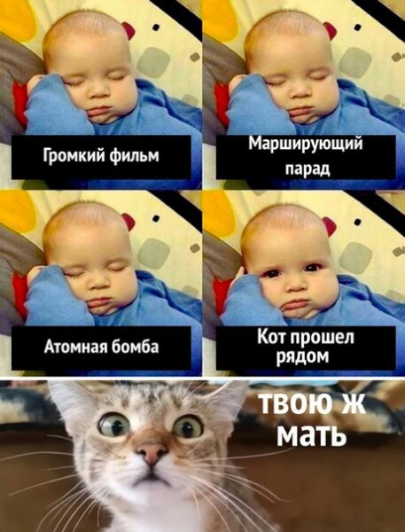 http://upforme.ru/uploads/0004/02/e8/1734/t491959.jpg