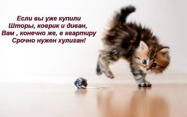 http://upforme.ru/uploads/0004/02/e8/1734/t49604.jpg
