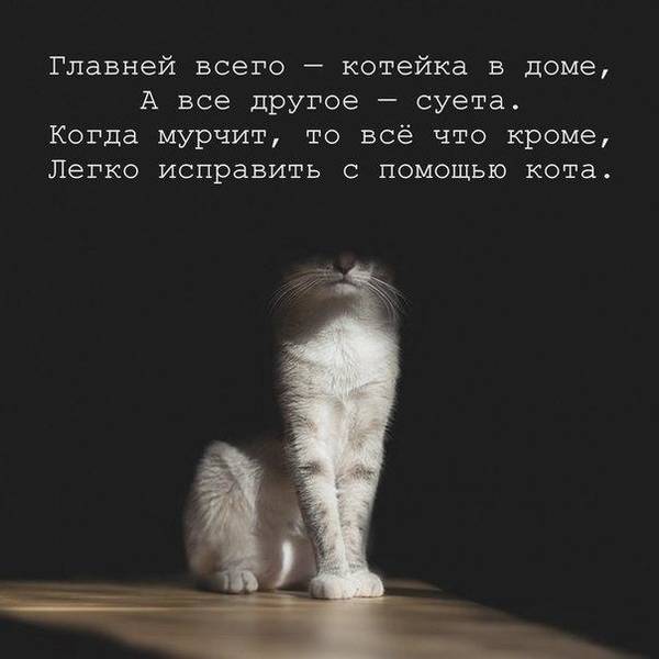 http://upforme.ru/uploads/0004/02/e8/1734/t508003.jpg