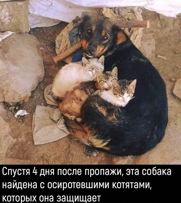 http://upforme.ru/uploads/0004/02/e8/1734/t51027.jpg
