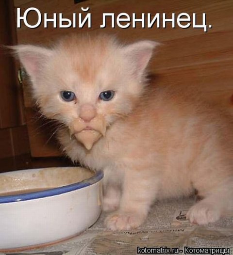 http://upforme.ru/uploads/0004/02/e8/1734/t512186.jpg