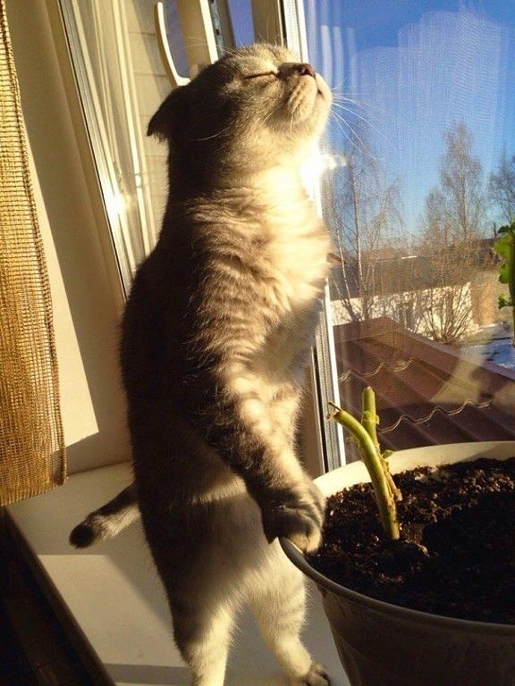 http://upforme.ru/uploads/0004/02/e8/1734/t51244.jpg
