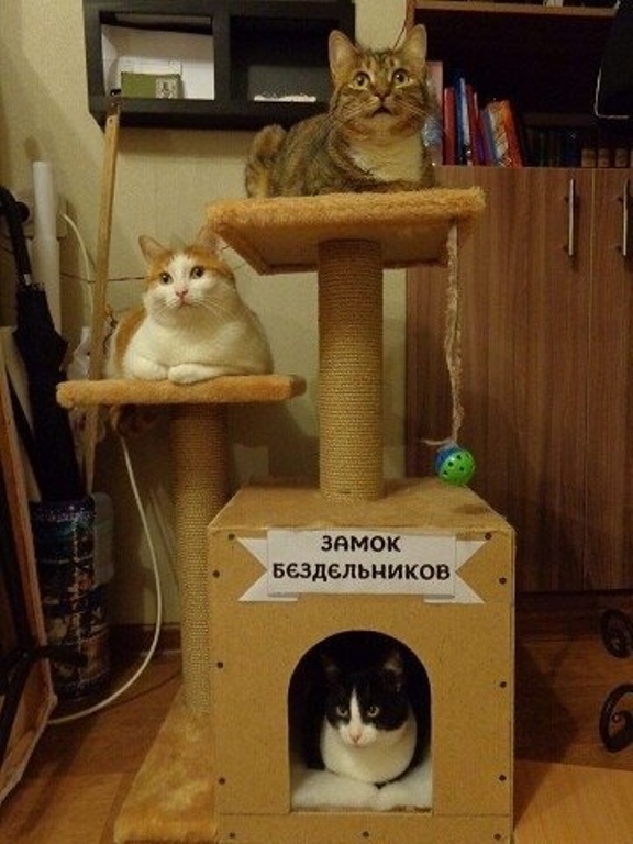 http://upforme.ru/uploads/0004/02/e8/1734/t51297.jpg