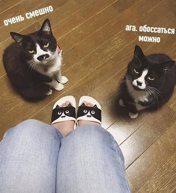 http://upforme.ru/uploads/0004/02/e8/1734/t514898.jpg