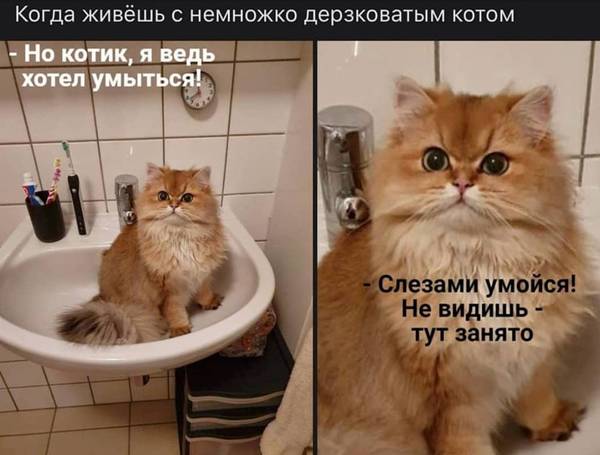 http://upforme.ru/uploads/0004/02/e8/1734/t51526.jpg