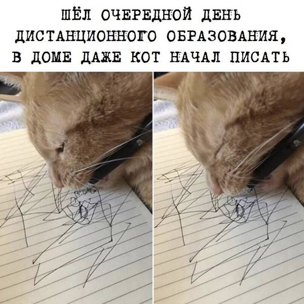 http://upforme.ru/uploads/0004/02/e8/1734/t515325.jpg