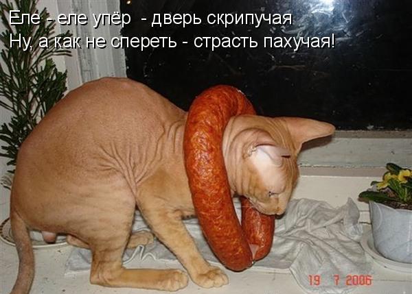 http://upforme.ru/uploads/0004/02/e8/1734/t51854.jpg