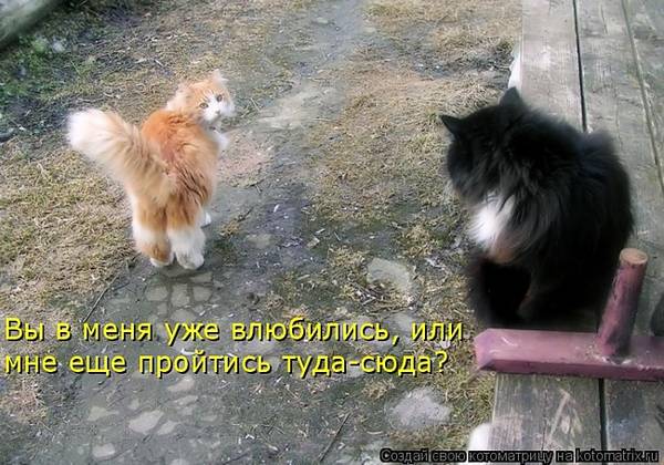 http://upforme.ru/uploads/0004/02/e8/1734/t52366.jpg