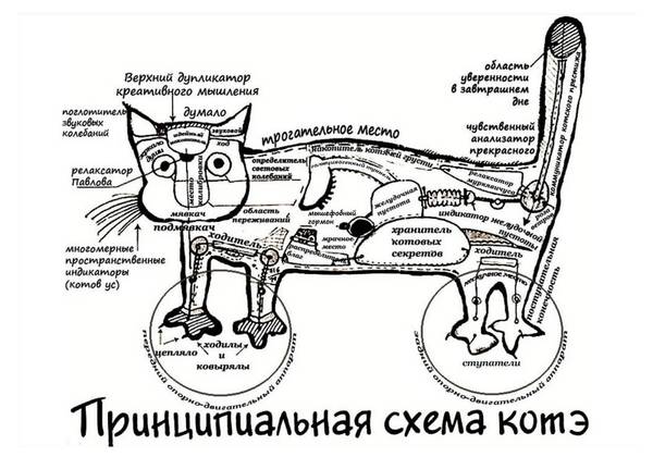 http://upforme.ru/uploads/0004/02/e8/1734/t525966.jpg