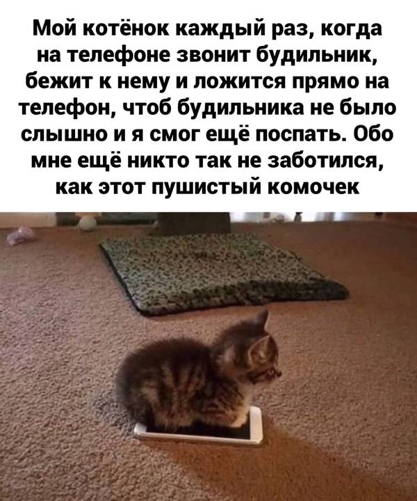 http://upforme.ru/uploads/0004/02/e8/1734/t52676.jpg